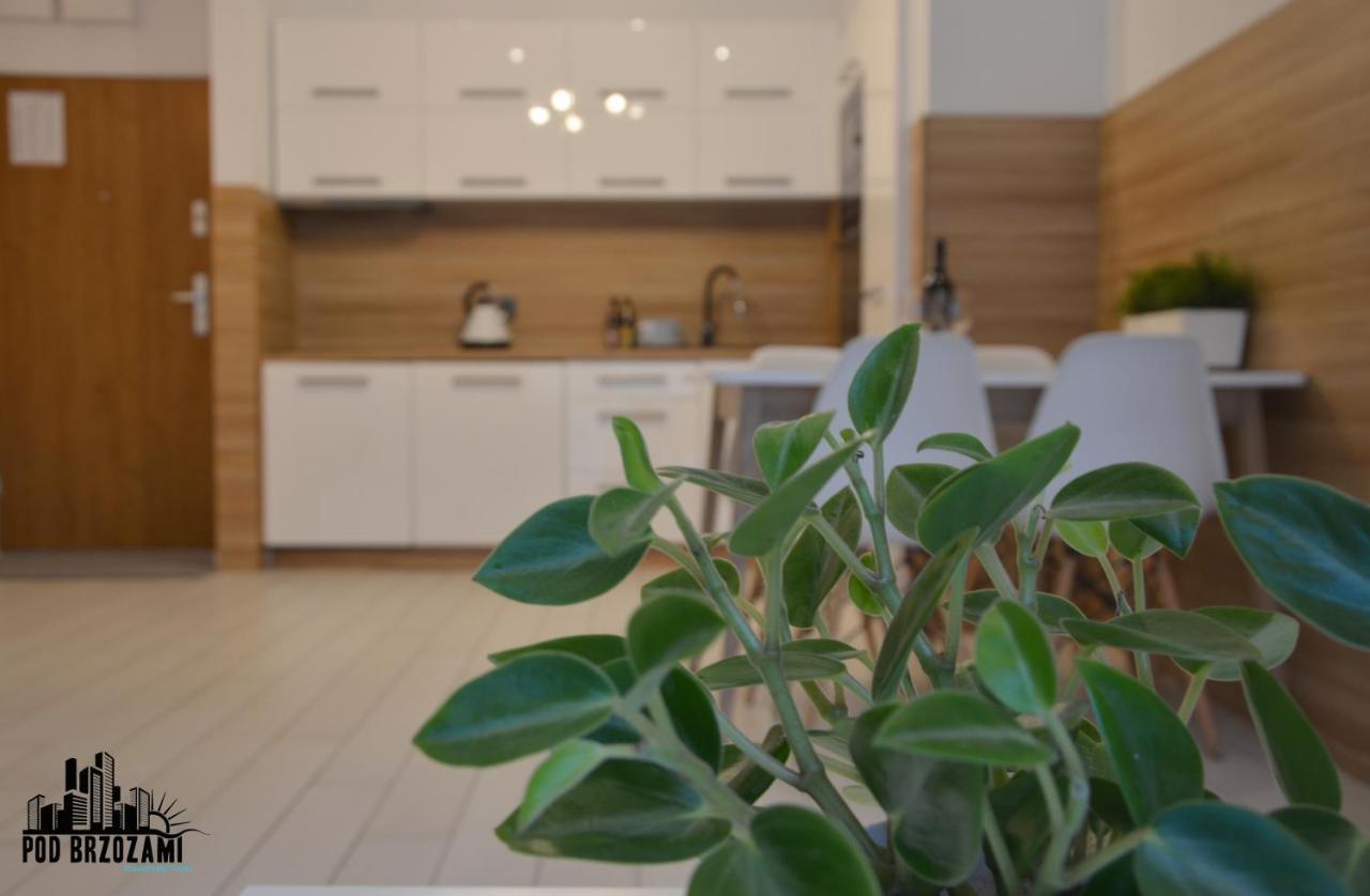 Pod Brzozami Apartamenty Dwie Sosny Ustronie Morskie Dış mekan fotoğraf